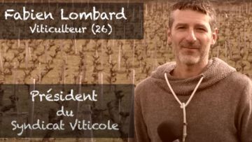 président syndicat viticole